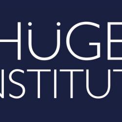 VACANCY: VHI Development Executive